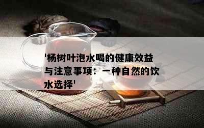 '杨树叶泡水喝的健康效益与注意事项：一种自然的饮水选择'