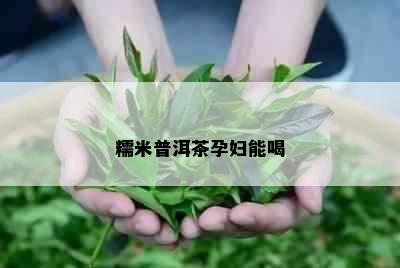 糯米普洱茶孕妇能喝