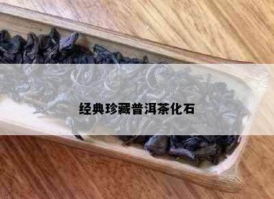 经典珍藏普洱茶化石