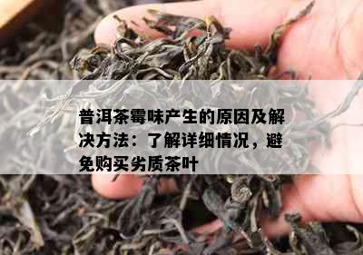 普洱茶霉味产生的原因及解决方法：了解详细情况，避免购买劣质茶叶