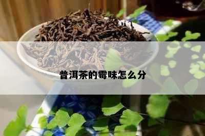 普洱茶的霉味怎么分