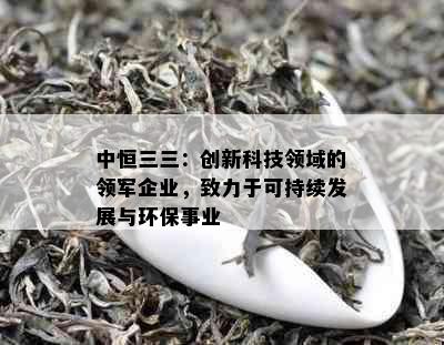 中恒三三：创新科技领域的领军企业，致力于可持续发展与环保事业