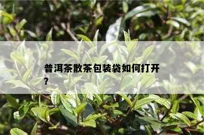 普洱茶散茶包装袋如何打开？