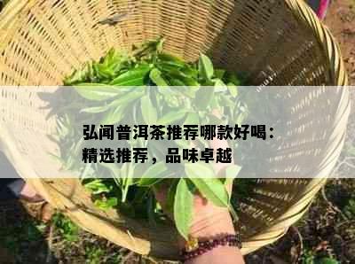 弘闻普洱茶推荐哪款好喝：精选推荐，品味卓越