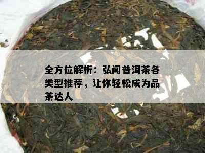 全方位解析：弘闻普洱茶各类型推荐，让你轻松成为品茶达人