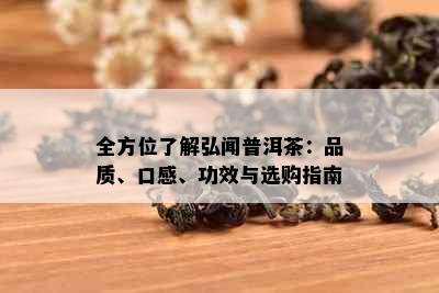 全方位了解弘闻普洱茶：品质、口感、功效与选购指南