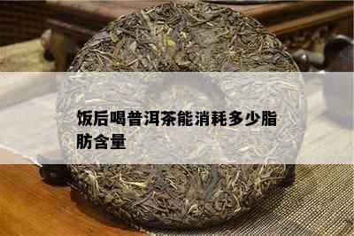 饭后喝普洱茶能消耗多少脂肪含量