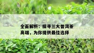 全面解析：探寻三大普洱茶高端，为你提供更佳选择