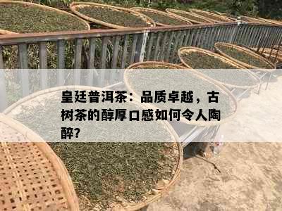 皇廷普洱茶：品质卓越，古树茶的醇厚口感如何令人陶醉？