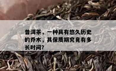 普洱茶，一种具有悠久历史的乔木，其保质期究竟有多长时间？