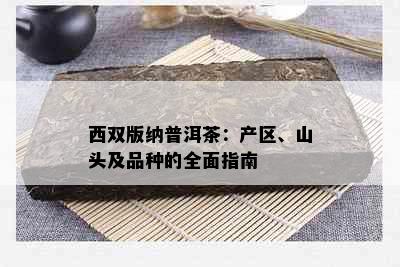 西双版纳普洱茶：产区、山头及品种的全面指南