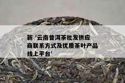 新 '云南普洱茶批发供应商联系方式及优质茶叶产品线上平台'