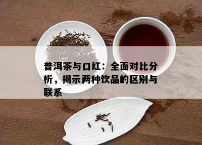 普洱茶与口红：全面对比分析，揭示两种饮品的区别与联系