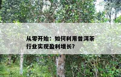 从零开始：如何利用普洱茶行业实现盈利增长？