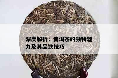 深度解析：普洱茶的独特魅力及其品饮技巧