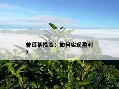 普洱茶投资：如何实现盈利？