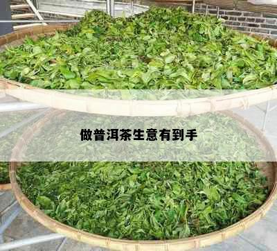 做普洱茶生意有到手