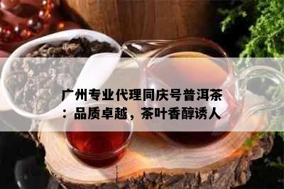 广州专业代理同庆号普洱茶：品质卓越，茶叶香醇诱人