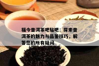 福今普洱茶吧贴吧：探索普洱茶的魅力与品鉴技巧，解答您的所有疑问