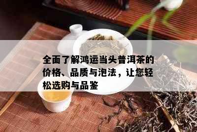 全面了解鸿运当头普洱茶的价格、品质与泡法，让您轻松选购与品鉴