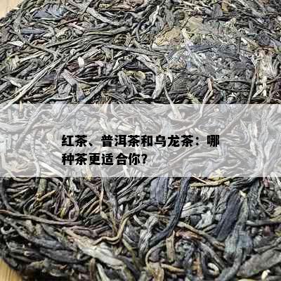 红茶、普洱茶和乌龙茶：哪种茶更适合你？