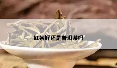 红茶好还是普洱茶吗