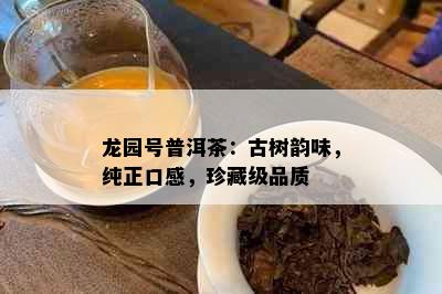 龙园号普洱茶：古树韵味，纯正口感，珍藏级品质