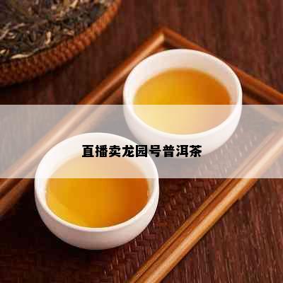 直播卖龙园号普洱茶