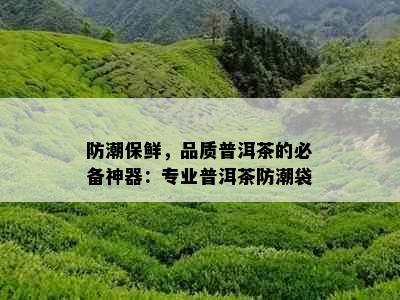 防潮保鲜，品质普洱茶的必备神器：专业普洱茶防潮袋