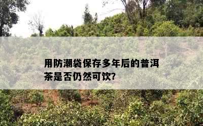 用防潮袋保存多年后的普洱茶是否仍然可饮？