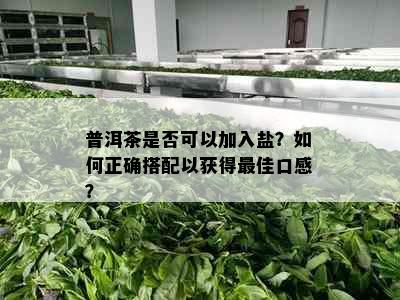 普洱茶是否可以加入盐？如何正确搭配以获得更佳口感？