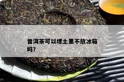 普洱茶可以埋土里不放冰箱吗？