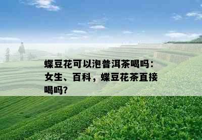 蝶豆花可以泡普洱茶喝吗：女生、百科，蝶豆花茶直接喝吗？