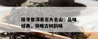 探寻普洱茶五大名山：品味经典，领略古树韵味