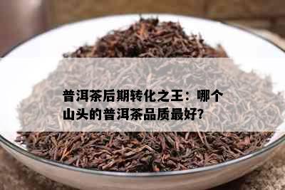 普洱茶后期转化之王：哪个山头的普洱茶品质更好？