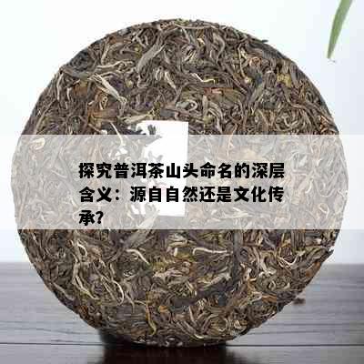 探究普洱茶山头命名的深层含义：源自自然还是文化传承？