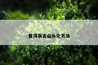 普洱茶去山头化方法