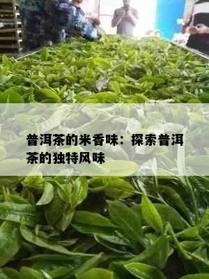 普洱茶的米香味：探索普洱茶的独特风味