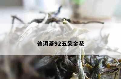 普洱茶92五朵金花