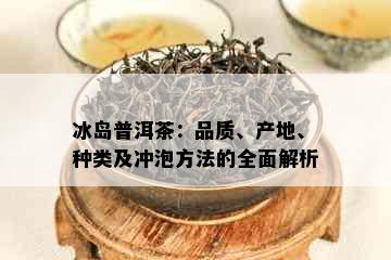 冰岛普洱茶：品质、产地、种类及冲泡方法的全面解析