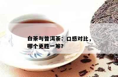 白茶与普洱茶：口感对比，哪个更胜一筹？