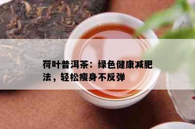 荷叶普洱茶：绿色健康减肥法，轻松瘦身不反弹