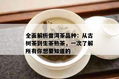 全面解析普洱茶品种：从古树茶到生茶熟茶，一次了解所有你想要知道的