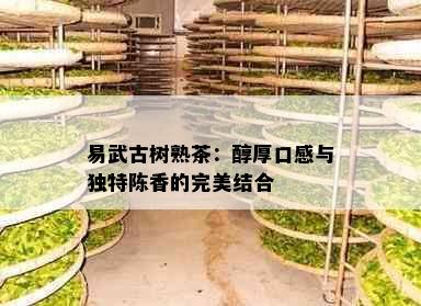 易武古树熟茶：醇厚口感与独特陈香的完美结合