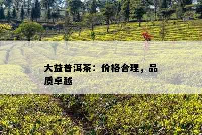 大益普洱茶：价格合理，品质卓越