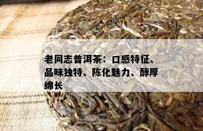 老同志普洱茶：口感特征、品味独特、陈化魅力、醇厚绵长