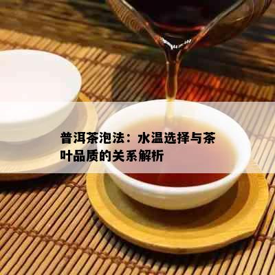 普洱茶泡法：水温选择与茶叶品质的关系解析