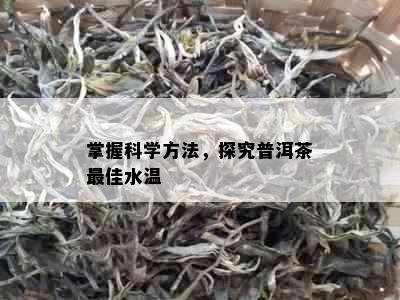 掌握科学方法，探究普洱茶更佳水温