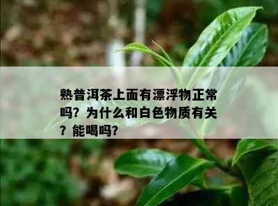 熟普洱茶上面有漂浮物正常吗？为什么和白色物质有关？能喝吗？