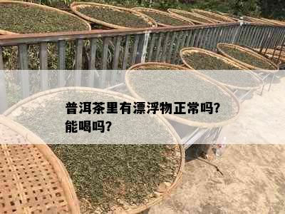 普洱茶里有漂浮物正常吗？能喝吗？